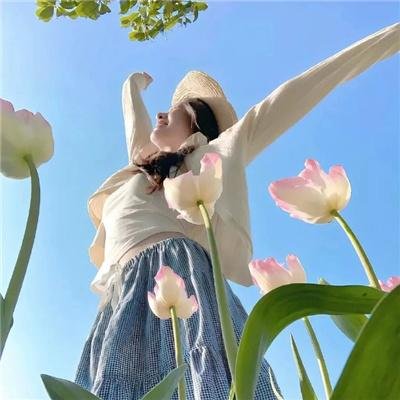 多龙芝
